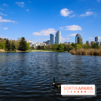 Parc André Malraux à Nanterre, nos photos - IMG 9748