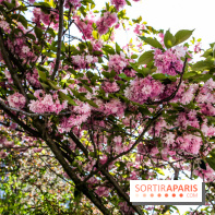 L'île de la Jatte, nos photos - IMG 9699