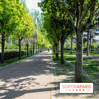 L'île de la Jatte, nos photos - IMG 9708 2