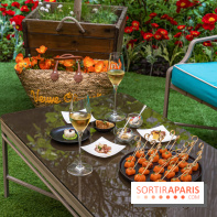 La terrasse cachée du Joy à l'Hôtel Fouquet's 2023 : le jardin de coquelicots -  A7C2762