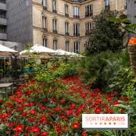 La terrasse cachée du Joy à l'Hôtel Fouquet's 2023 : le jardin de coquelicots -  A7C2758