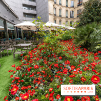 La terrasse cachée du Joy à l'Hôtel Fouquet's 2023 : le jardin de coquelicots -  A7C2754
