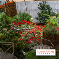 La terrasse cachée du Joy à l'Hôtel Fouquet's 2023 : le jardin de coquelicots -  A7C2732