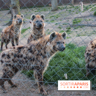 Zoo de Thoiry 2023 - 85E5BC37 9856 42A9 9E6B 27280D790F4E