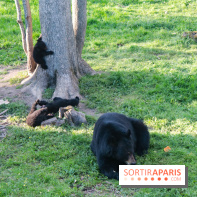 Zoo de Thoiry 2023 - 3EC09EB5 0F0E 426F B19B 9BDE8D06831D