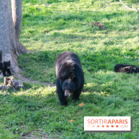 Zoo de Thoiry 2023 - B2A5EA56 22BE 42CF 85D7 CC5240864AB4