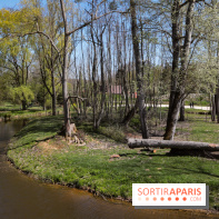 Zoo de Thoiry 2023 - Terre des gorilles