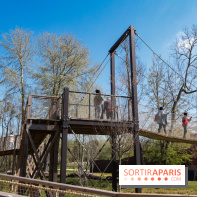 Zoo de Thoiry 2023 - Terre des gorilles