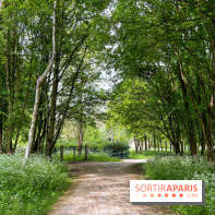 Balade - rando de Jouy-en-Josas jusqu'à l'Aqueduc de Buc - image00009