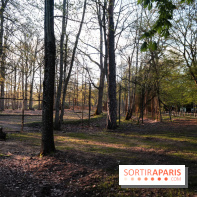 Les tanières du zoo de Thoiry 2023 - 90430532 4DE2 456B 8EB3 8FB9CE3622A6