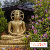 Wat Thammapatip Inrernational : la pagode bouddhiste et sa street food thaï, à Moissy-Cramayel - 8A0BB601 A591 4155 9363 62CE76412A10