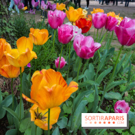 Wat Thammapatip Inrernational : la pagode bouddhiste et sa street food thaï, à Moissy-Cramayel - 50F5D52D D5E6 4A7B 9504 9907D05269BF