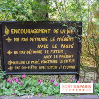 Wat Thammapatip Inrernational : la pagode bouddhiste et sa street food thaï, à Moissy-Cramayel - DC925664 D492 4B7B BB8D 64DF7F4274F6
