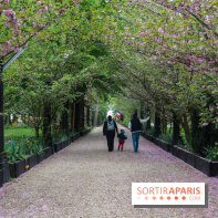 Wat Thammapatip Inrernational : la pagode bouddhiste et sa street food thaï, à Moissy-Cramayel - EA0A1E4A BA57 4367 A20B CA7CB783ACEE