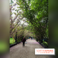 Wat Thammapatip Inrernational : la pagode bouddhiste et sa street food thaï, à Moissy-Cramayel - 46BBD488 AE64 4018 804F A19357A1C24A