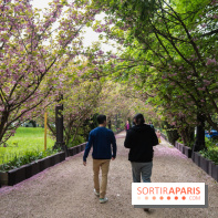 Wat Thammapatip Inrernational : la pagode bouddhiste et sa street food thaï, à Moissy-Cramayel - 95914580 96CD 4D0F 8382 82E2A9B28465