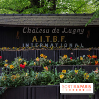 Wat Thammapatip Inrernational : la pagode bouddhiste et sa street food thaï, à Moissy-Cramayel - 3DC586FA 7060 48B0 AD7F 1C23771FF575