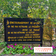 Wat Thammapatip Inrernational : la pagode bouddhiste et sa street food thaï, à Moissy-Cramayel - FD8822C6 BE73 4FBD A93F 1788D09FA0F7