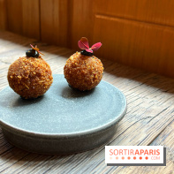 Géosmine - Croquettes de rillettes