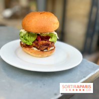 Nakatsu - Burger karaage