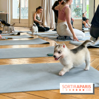 Puppy Yoga