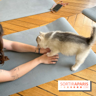 Puppy Yoga - image00016