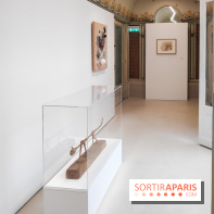 Exposition ASensitiv de Warren à l'Institut Giacometti - nos photos - IMG 20230515 114126