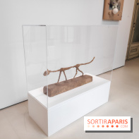 Exposition ASensitiv de Warren à l'Institut Giacometti - nos photos - IMG 20230515 114130