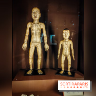 Médecines d'Asie, l'art de l'équilibre : l'exposition bien-être étonnante du musée Guimet - photos