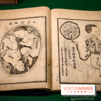 Médecines d'Asie, l'art de l'équilibre : l'exposition bien-être étonnante du musée Guimet - photos - IMG20230516111436