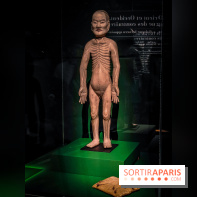 Médecines d'Asie, l'art de l'équilibre : l'exposition bien-être étonnante du musée Guimet - photos