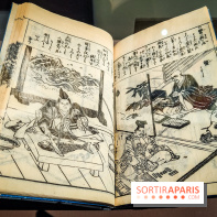 Médecines d'Asie, l'art de l'équilibre : l'exposition bien-être étonnante du musée Guimet - photos