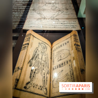 Médecines d'Asie, l'art de l'équilibre : l'exposition bien-être étonnante du musée Guimet - photos - IMG20230516105123