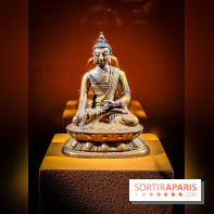 Médecines d'Asie, l'art de l'équilibre : l'exposition bien-être étonnante du musée Guimet - photos - IMG20230516103914