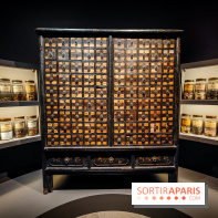Médecines d'Asie, l'art de l'équilibre : l'exposition bien-être étonnante du musée Guimet - photos
