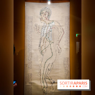 Médecines d'Asie, l'art de l'équilibre : l'exposition bien-être étonnante du musée Guimet - photos