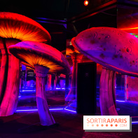 Le labyrinthe de Tim Burton - IMG 2567