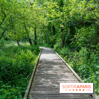 Sentier découverte de Maincourt - Vallée de Chevreuse -  A7C4054