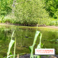 Sentier découverte de Maincourt - Vallée de Chevreuse -  A7C4061