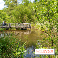 Sentier découverte de Maincourt - Vallée de Chevreuse -  A7C4081