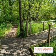 Sentier découverte de Maincourt - Vallée de Chevreuse -  A7C4086