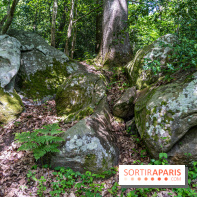 Sentier découverte de Maincourt - Vallée de Chevreuse -  A7C4096