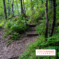 Sentier découverte de Maincourt - Vallée de Chevreuse -  A7C4098
