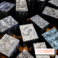 Carte blanche à Park Dong Soo au musée Guimet, nos photos - IMG 0099