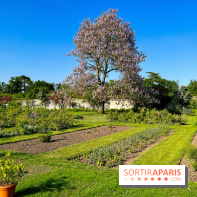 Le Jardin du Parfumeur à Versailles