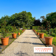 Le Jardin du Parfumeur à Versailles