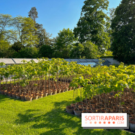 Le Jardin du Parfumeur à Versailles