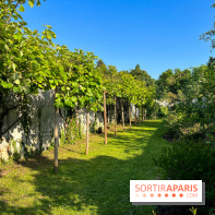Le Jardin du Parfumeur à Versailles
