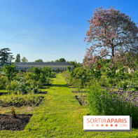 Le Jardin du Parfumeur à Versailles