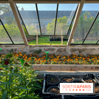 Le Jardin du Parfumeur à Versailles